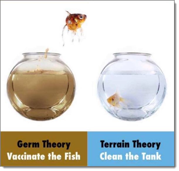 germ-vs-terrain-theories