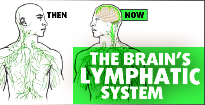 The Lymphatic System we Know Now